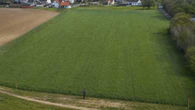 Vermesser markiert die Grenzen eines etwa einen Hektar großen Feldes am Rand einer Ortschaft [Bildinhalt mit KI erstellt]