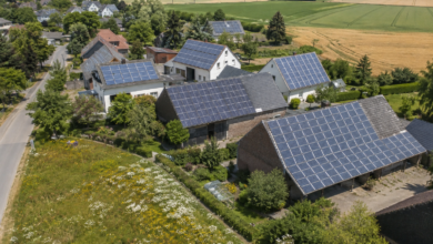 Solardächer am grünen Rand eines Dorfes mit Gärten und Blühflächen [Bildinhalt mit KI erstellt]