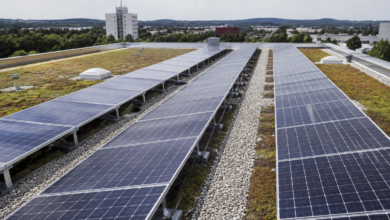 Photovoltaikmodule auf einem begrünten Gewerbedach mit freien Wartungswegen. [Bildinhalt mit KI erstellt]