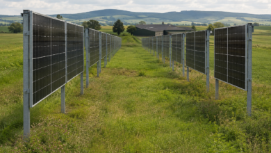 Vertikale Photovoltaikreihen mit breiten begrünten Streifen in einer Agrarlandschaft. [Bildinhalt mit KI erstellt]