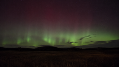 Dezente grüne und rötliche Polarlichter über einer dunklen ländlichen Landschaft. [Bildinhalt mit KI erstellt]